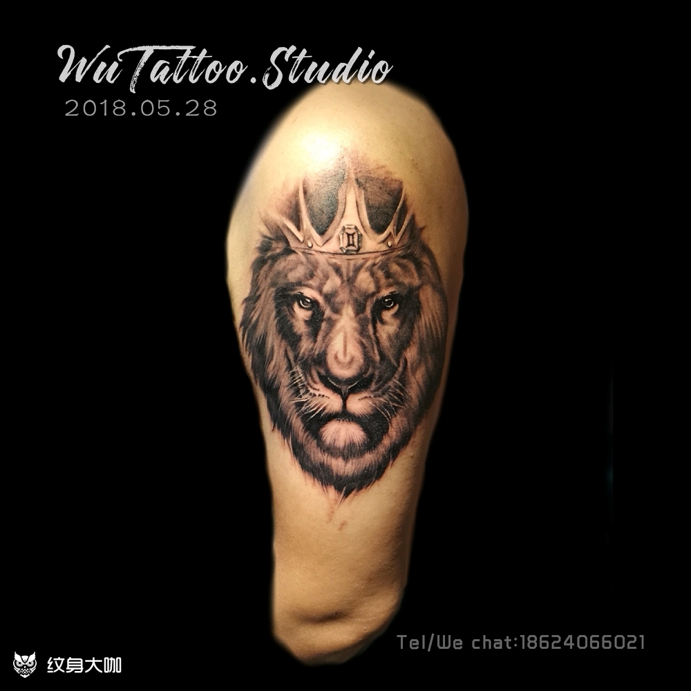 狮子头_纹身图案手稿图片_老吾的纹身作品集