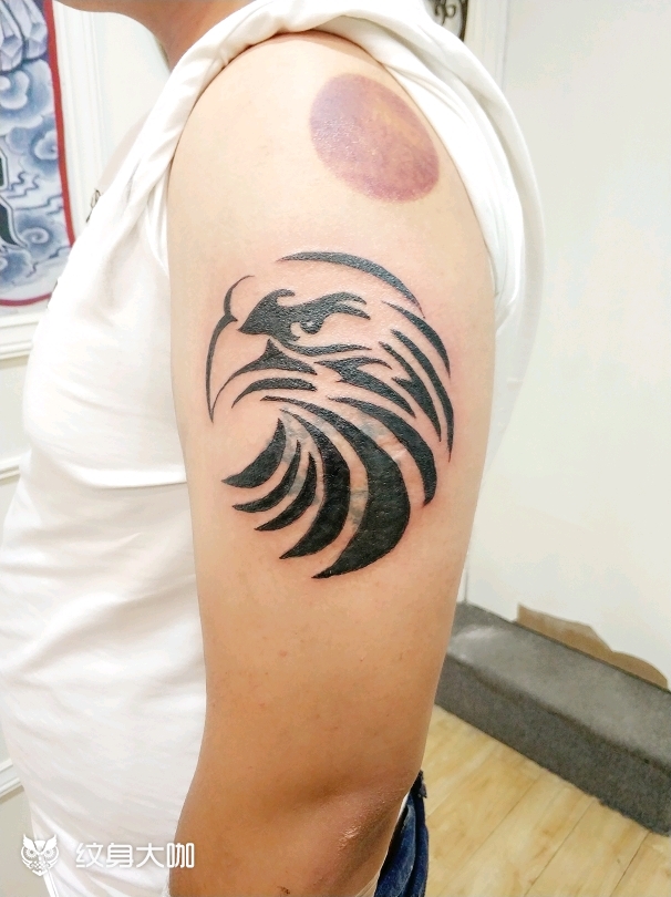 图腾鹰_纹身图案手稿图片_老萌的纹身作品集