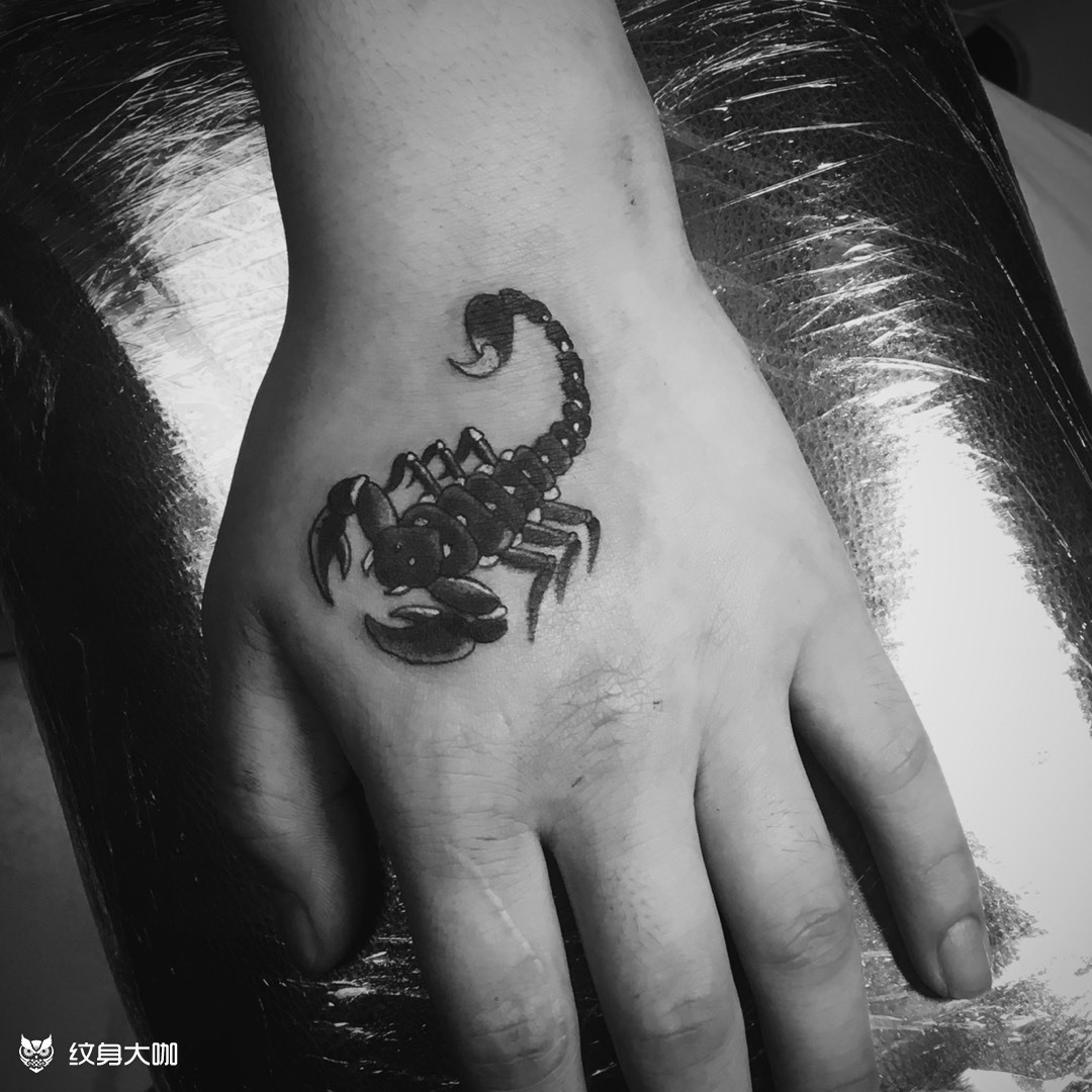虎口蝎子_纹身图案手稿图片_拾柒的纹身作品集