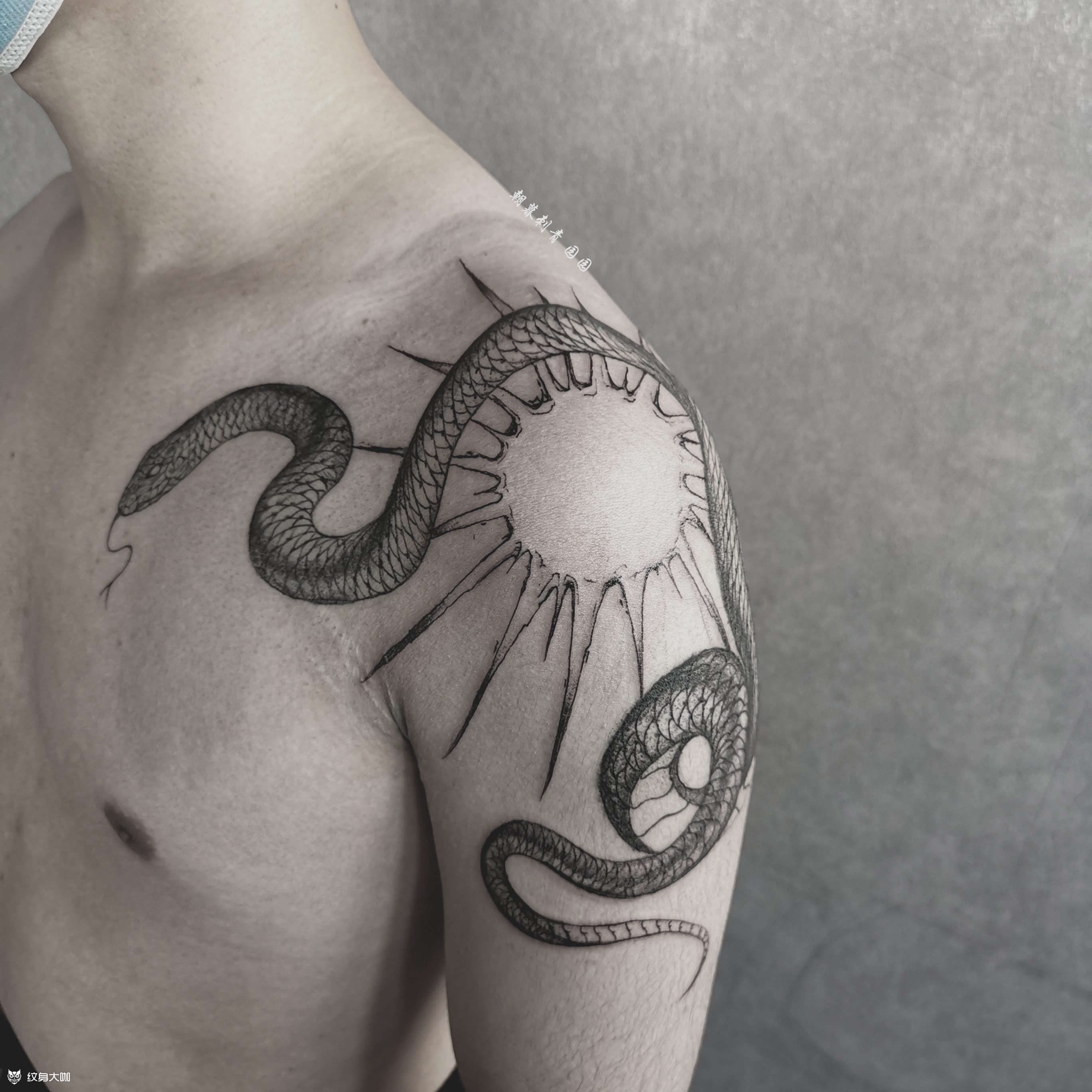 蛇与光_纹身图案手稿图片_园园的纹身作品集