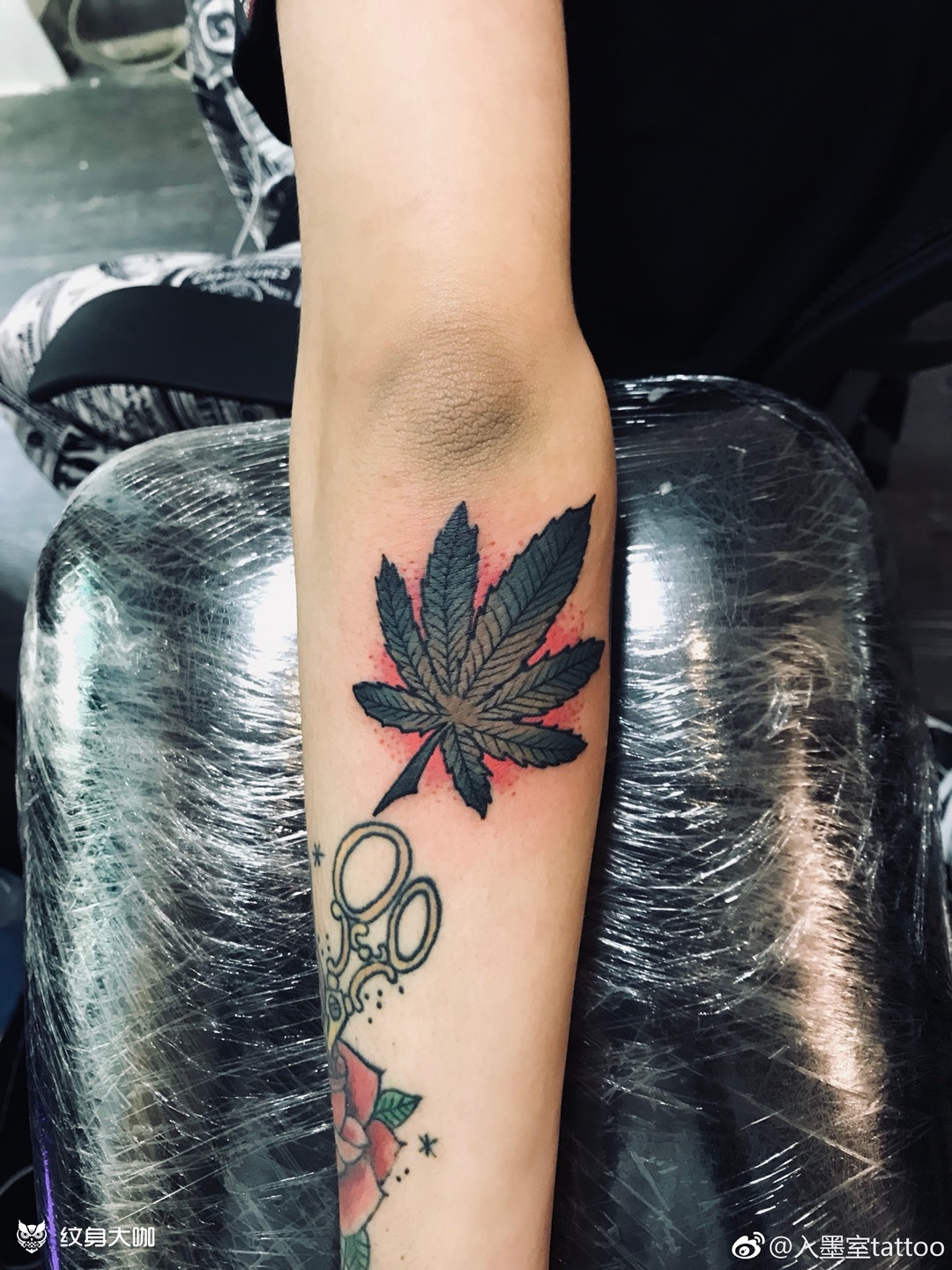 大麻叶_纹身图案手稿图片_陈传杰的纹身作品集