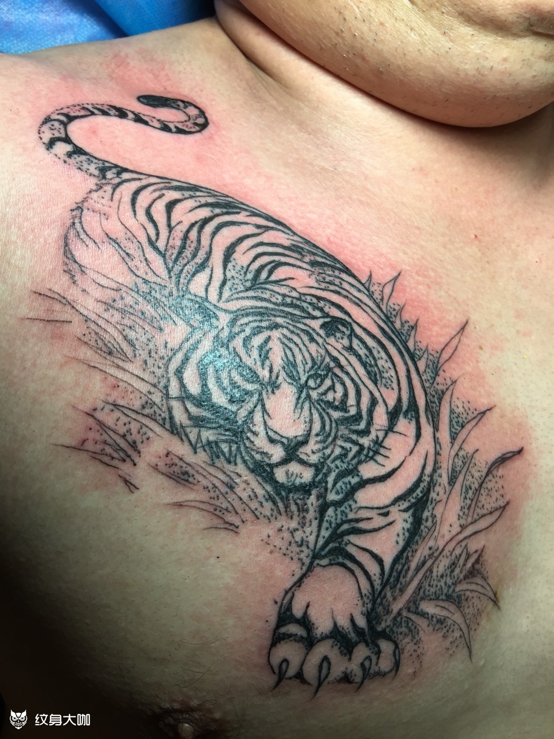 老虎_纹身图案手稿图片_苏冬梅的纹身作品集