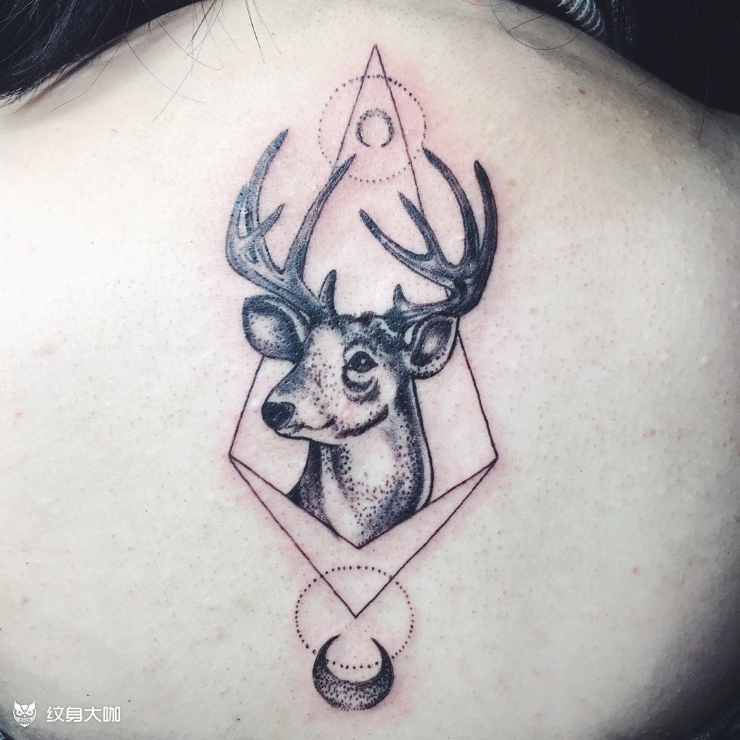 23 后背 鹿_纹身图案手稿图片_阿丹的纹身作品集