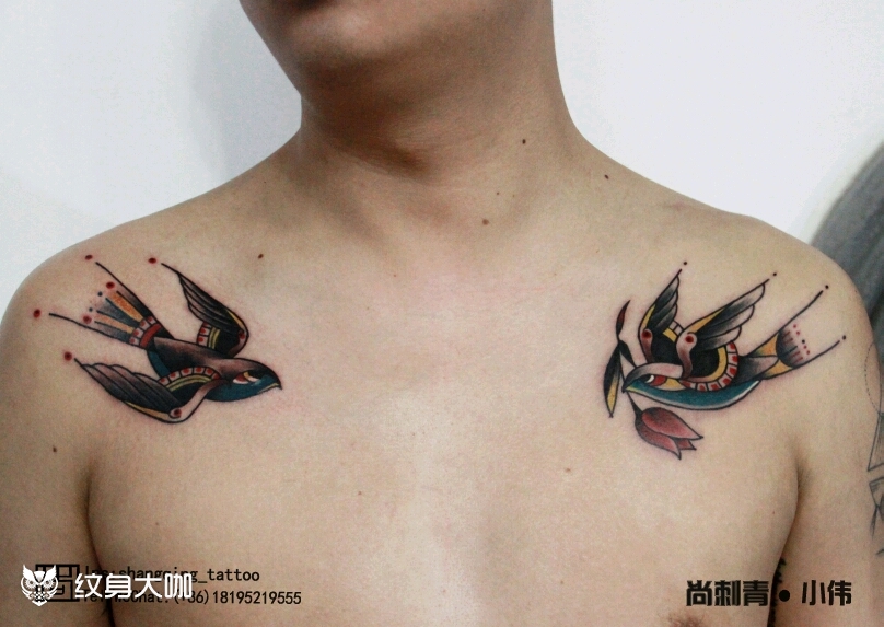 海燕_纹身图案手稿图片_小伟的纹身作品集