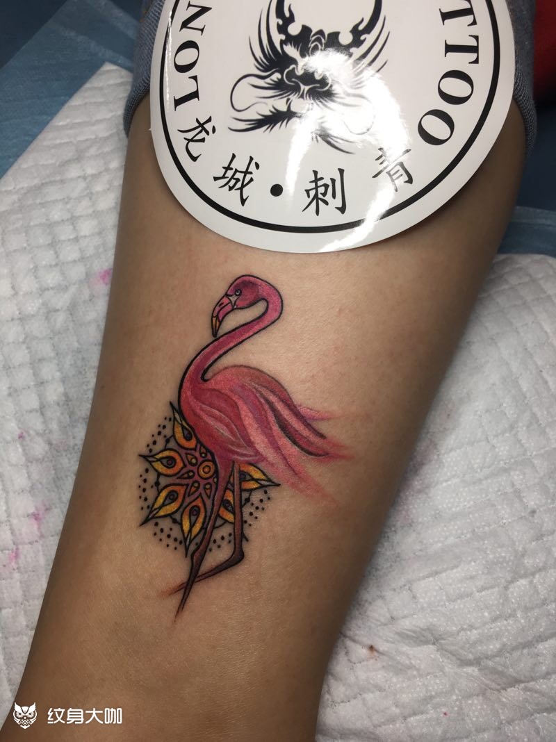 火烈鸟_纹身图案手稿图片_呃 丽丽的纹身作品集