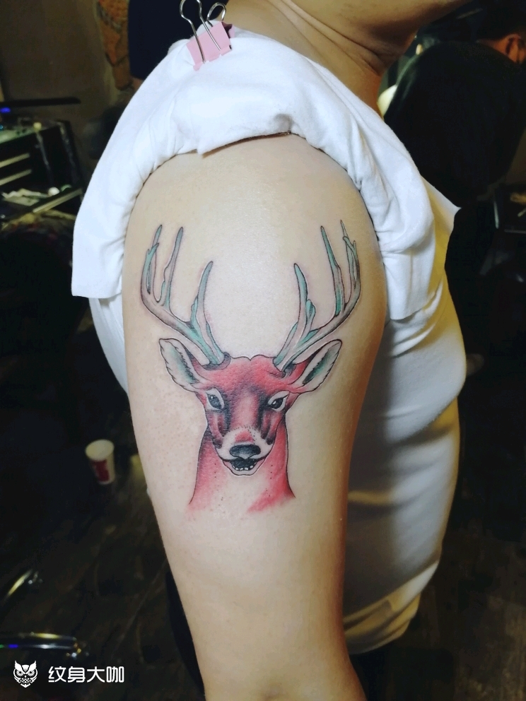 鹿头_纹身图案手稿图片_白花花94的纹身作品集