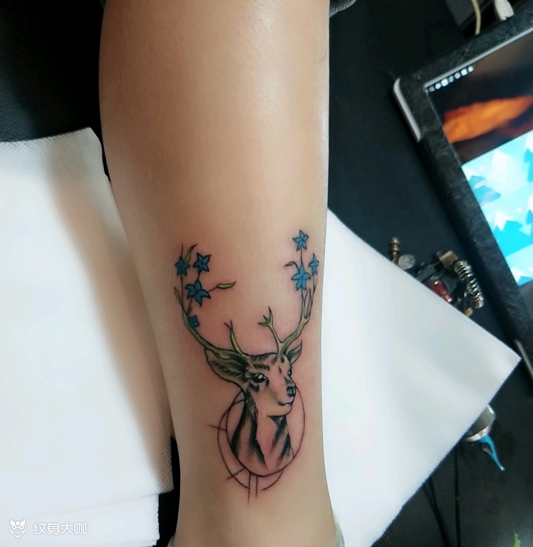个性小鹿_纹身图案手稿图片_a tattoo 安逸的纹身作品集