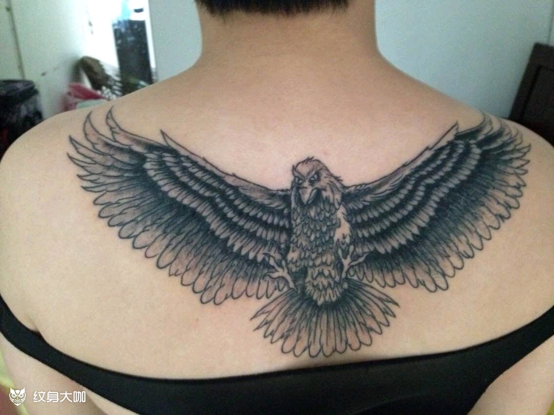 老鹰(是个女孩子)_纹身图案手稿图片_赤龙的纹身作品集