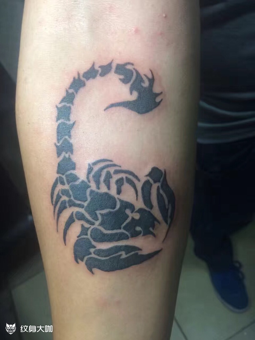 蝎子_纹身图案手稿图片_阿强的纹身作品集