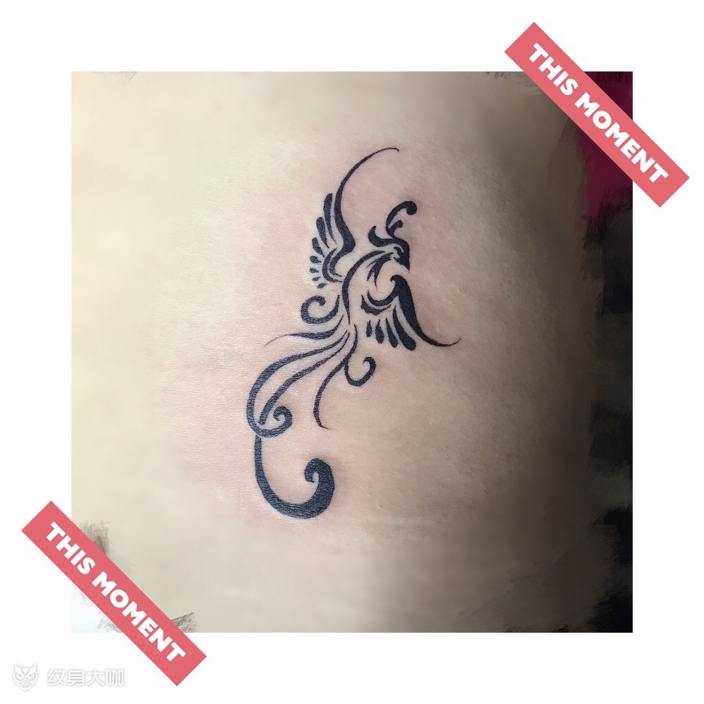 凤凰_纹身图案手稿图片_映晗的纹身作品集