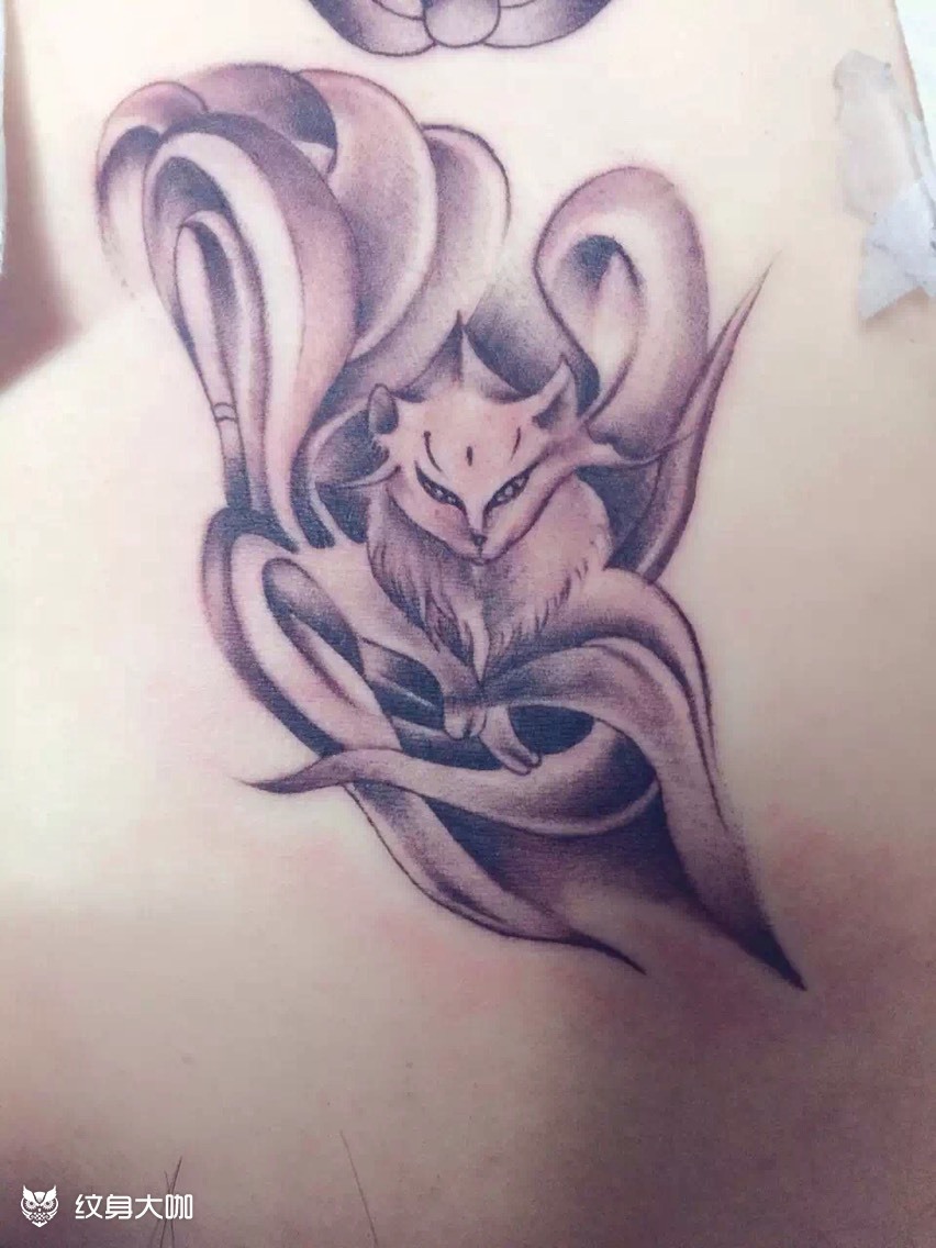 九尾狐_纹身图案手稿图片_针雅纹艺的纹身作品集