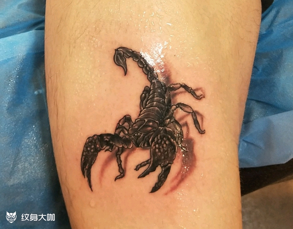 3d蝎子_纹身图案手稿图片_苏羽的纹身作品集