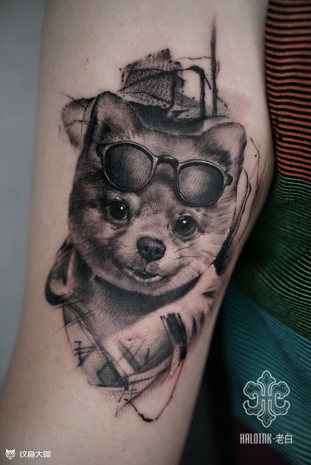 宠物博美写实纹身