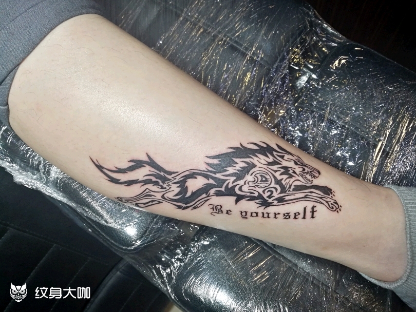 狼图腾_纹身图案手稿图片_武哥的纹身作品集