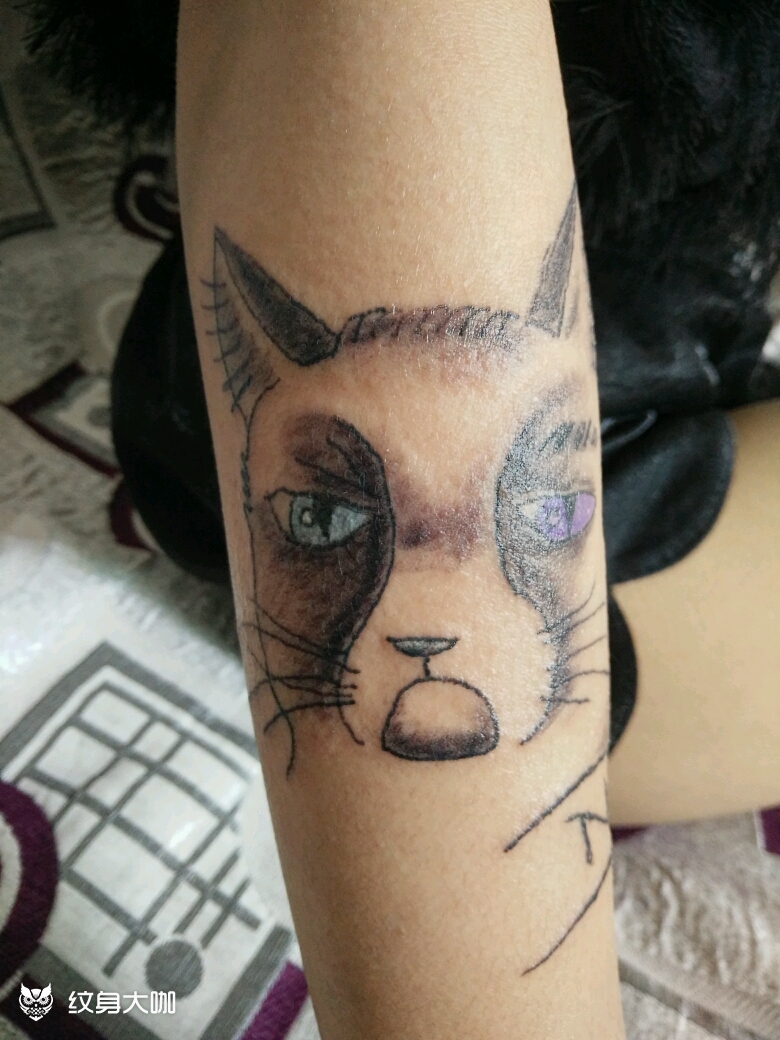 猫先生_纹身图案手稿图片_杜丽军的纹身作品集