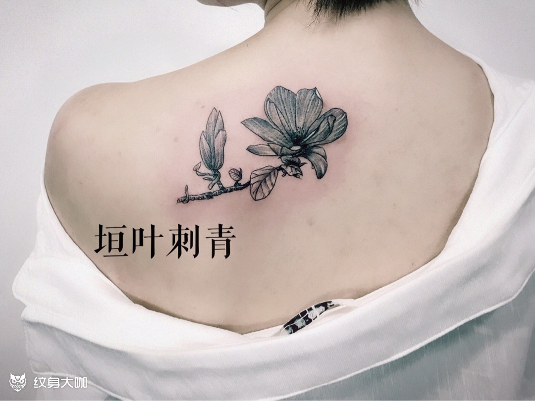 木兰花_纹身图案手稿图片_yuanye tattoo的纹身作品集