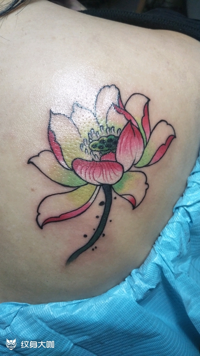 一朵莲花_纹身图案手稿图片_潮汐的纹身作品集