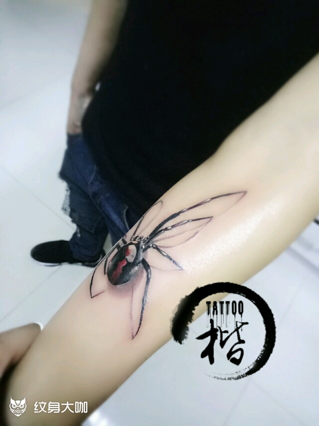 三d蜘蛛_纹身图案手稿图片_楷哥的纹身作品集