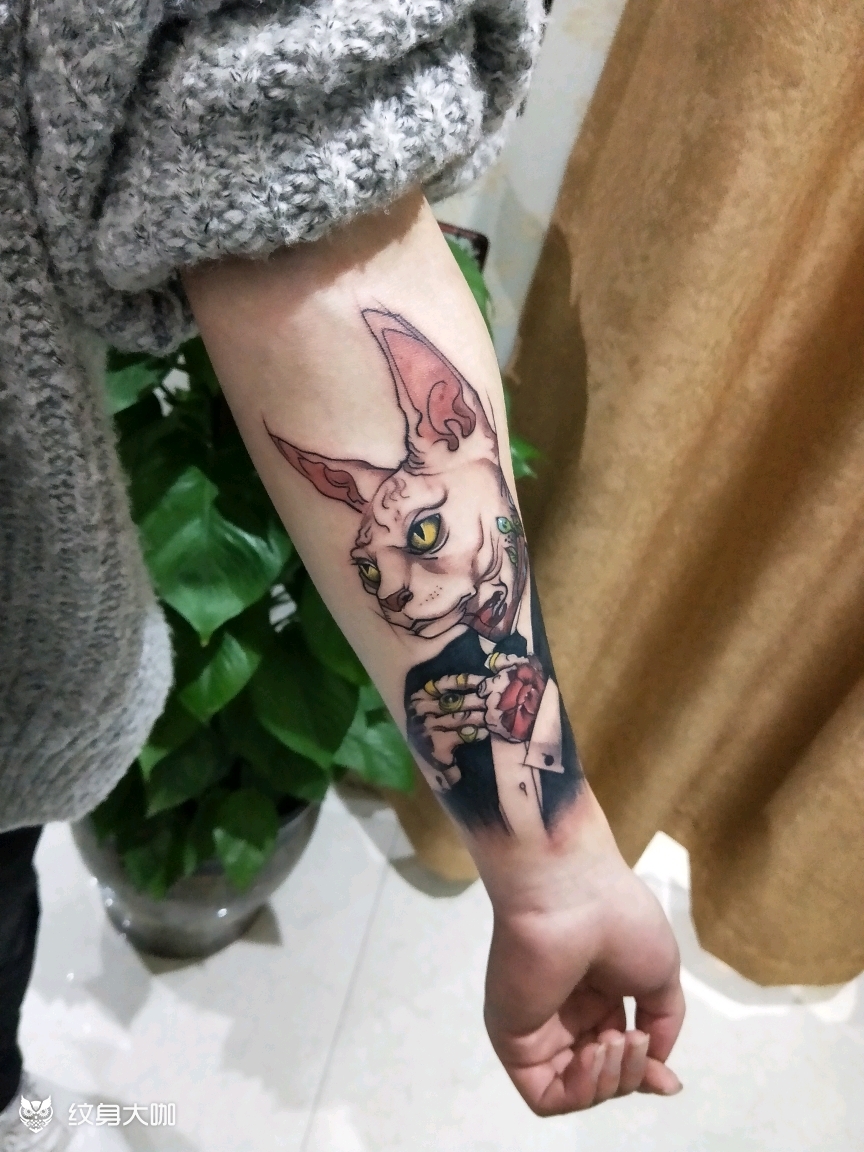 司芬克斯猫纹身图片