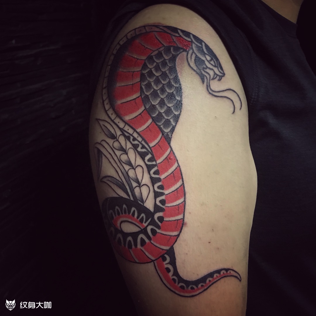 oldschool眼镜蛇_纹身图案手稿图片_沈阳纹身absolutepink的纹身作品