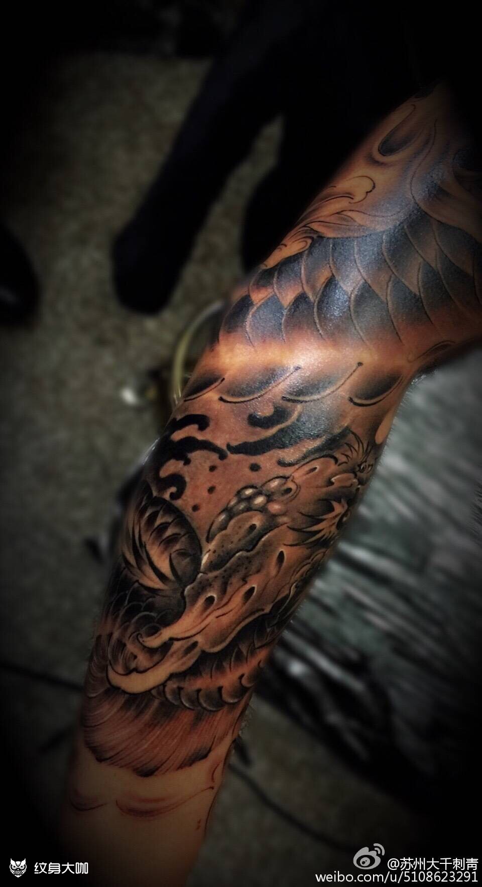 小臂龙图_纹身图案手稿图片_陈允尚的纹身作品集