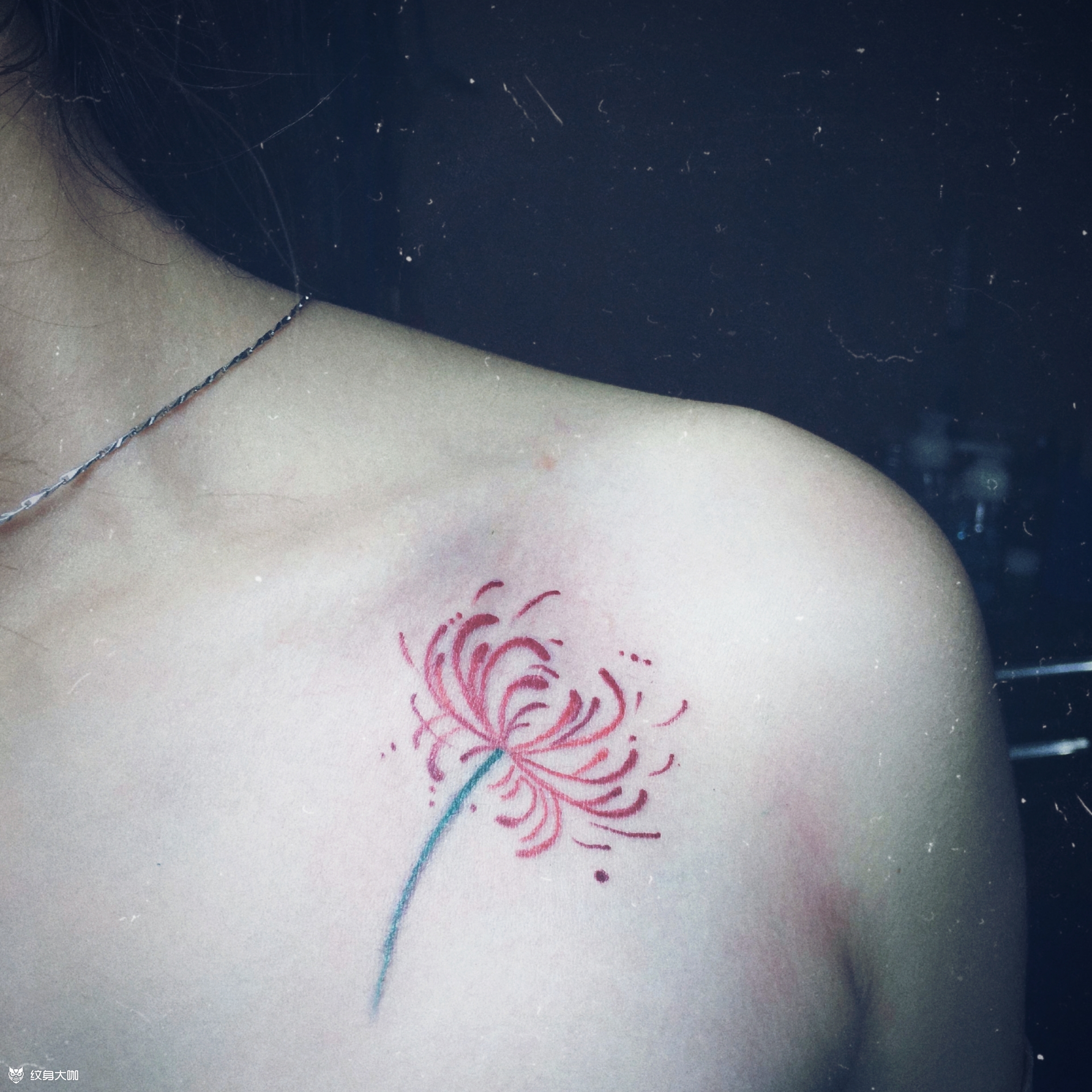 彼岸花_纹身图案手稿图片_小雨的纹身作品集