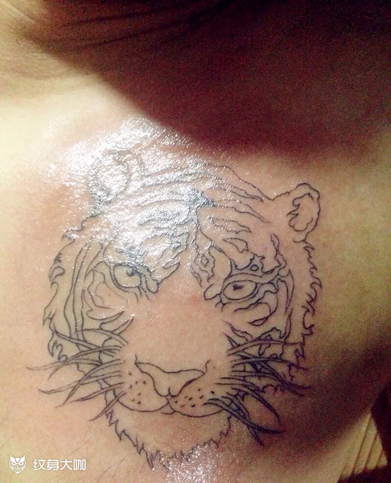 欧美风格虎头_纹身图案手稿图片_鲍加俊的纹身作品集