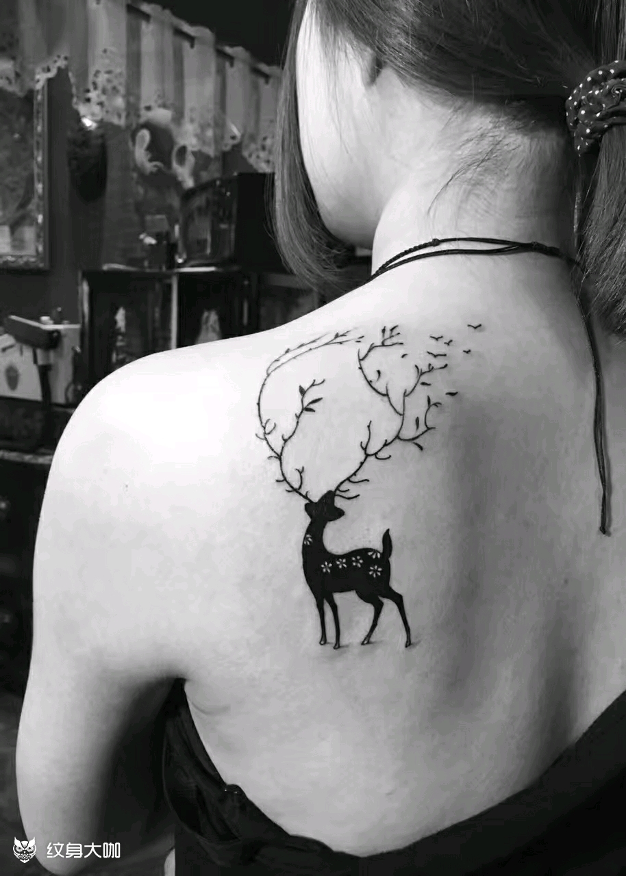 梅花鹿_纹身图案手稿图片_王子涛的纹身作品集