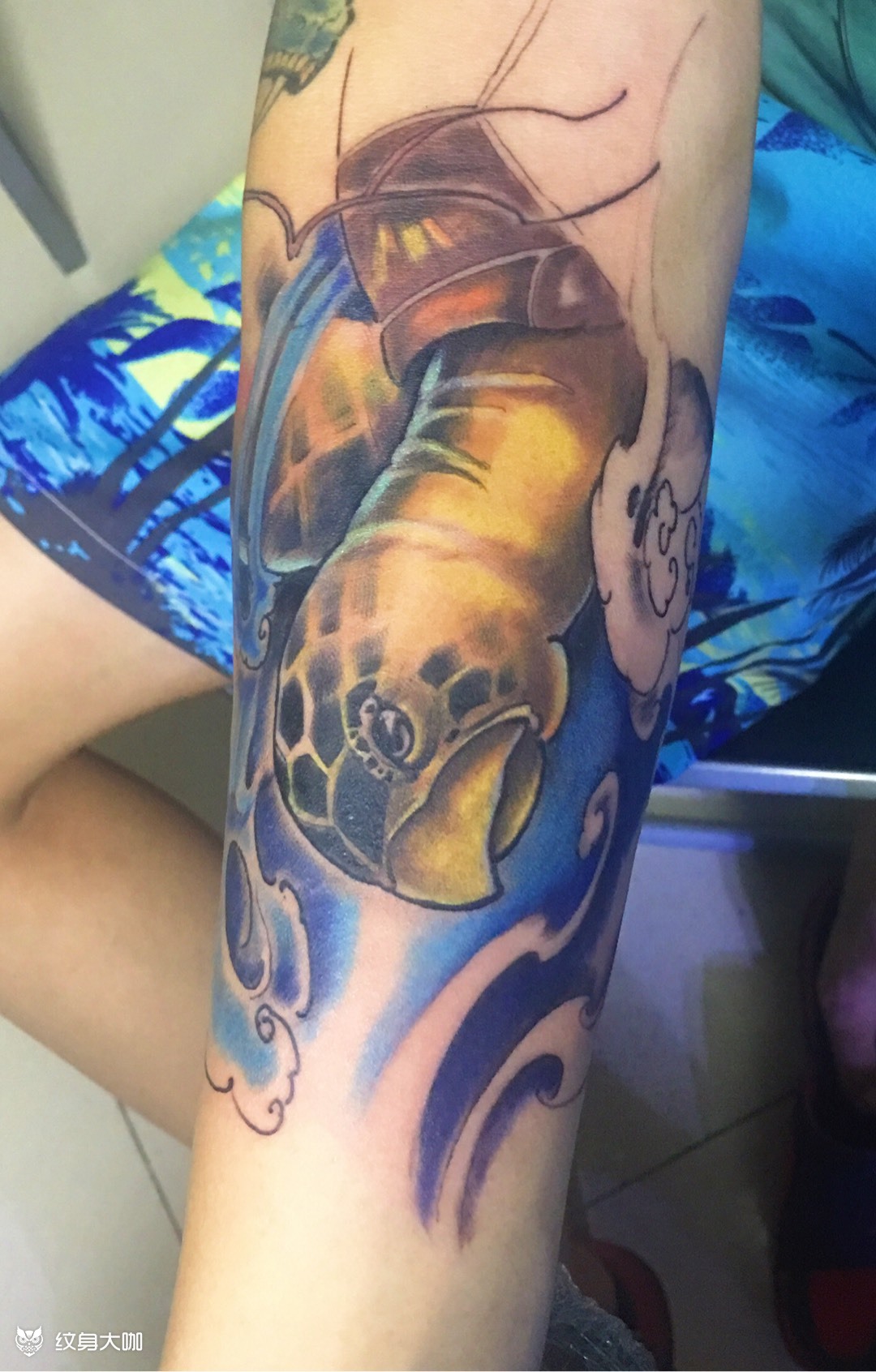 海龟_纹身图案手稿图片_赵强的纹身作品集