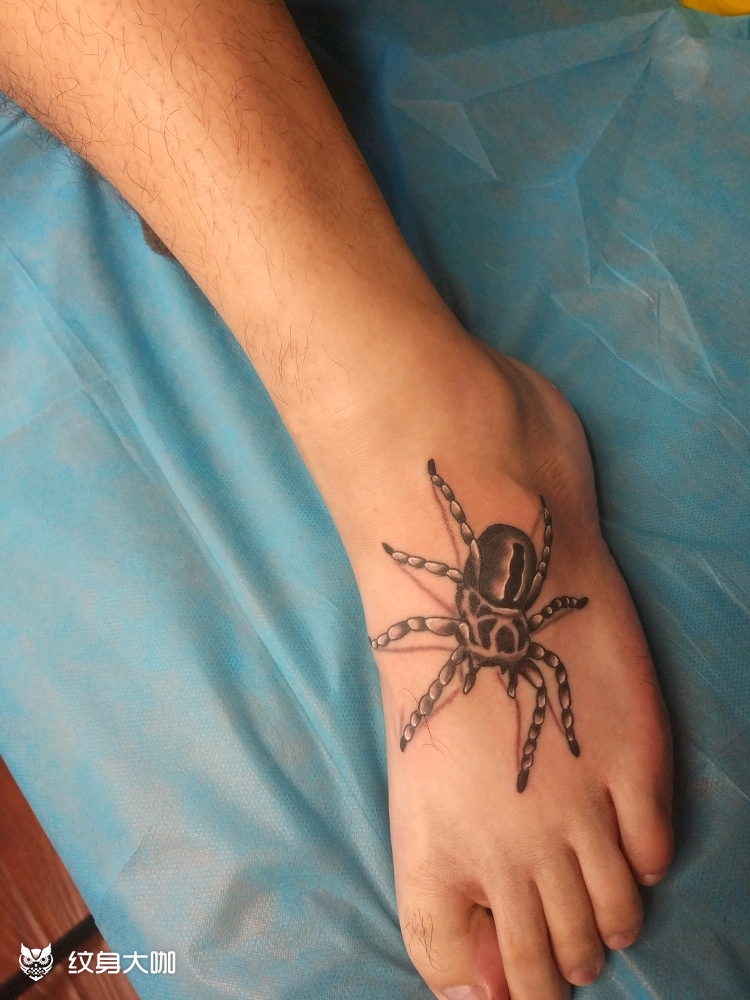 脚背蜘蛛_纹身图案手稿图片_宇先生的纹身作品集