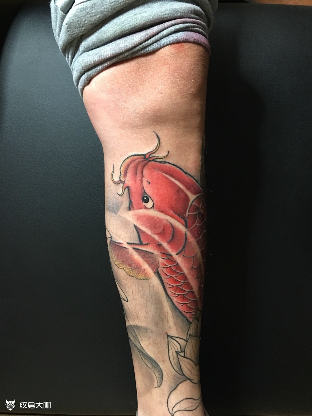 包腿小鲤鱼未完成_纹身图案手稿图片_陈巍塬的纹身作品集