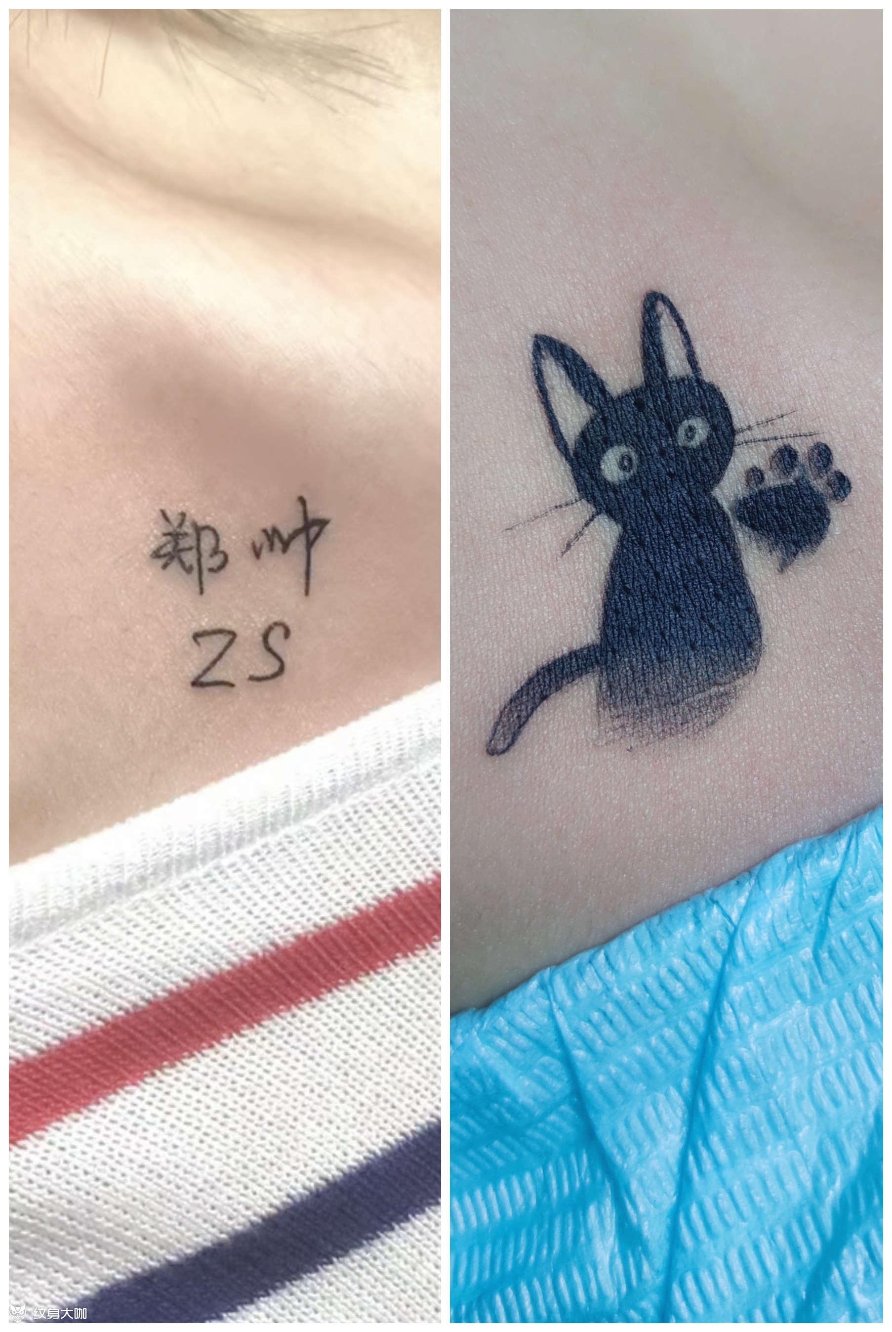 小黑猫咪小图遮盖