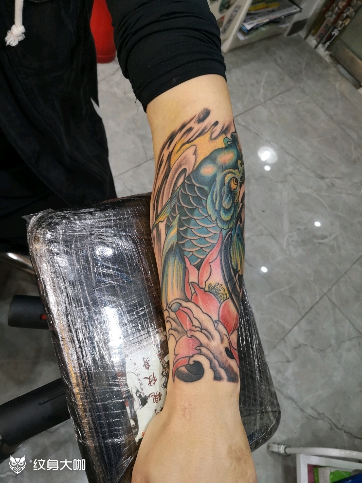小臂盖疤,锦鲤_纹身图案手稿图片_谭昌武的纹身作品集