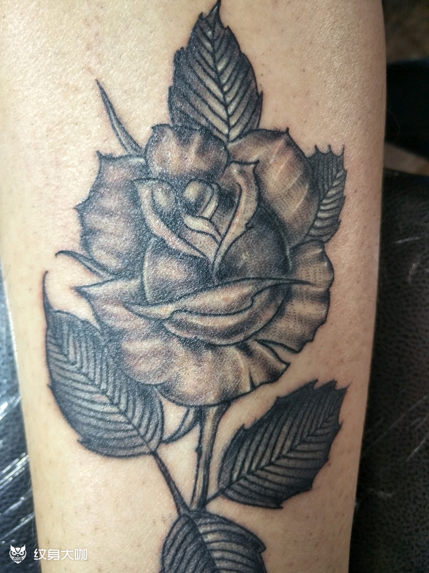 小腿内侧花_纹身图案手稿图片_沭阳保利的纹身作品集