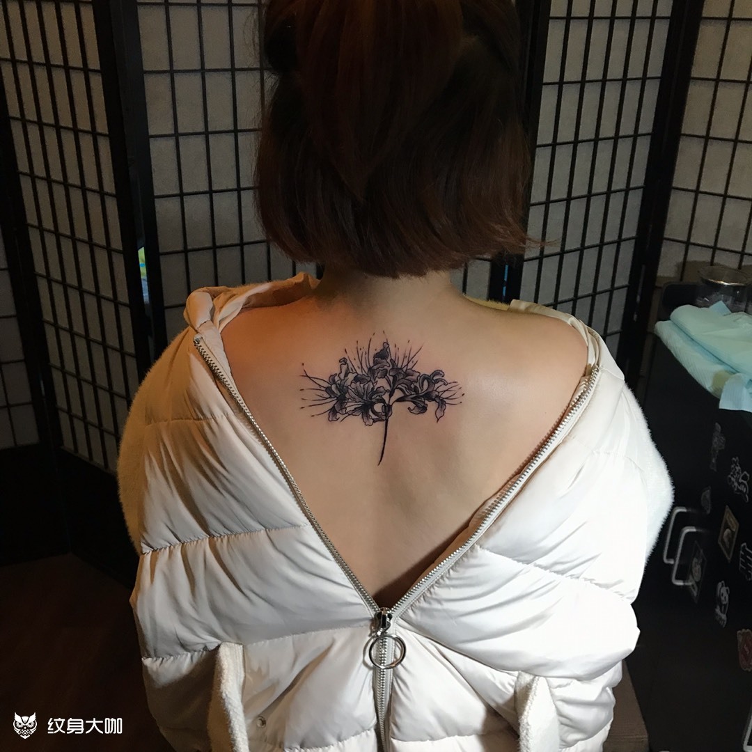 彼岸花_纹身图案手稿图片_徐超的纹身作品集