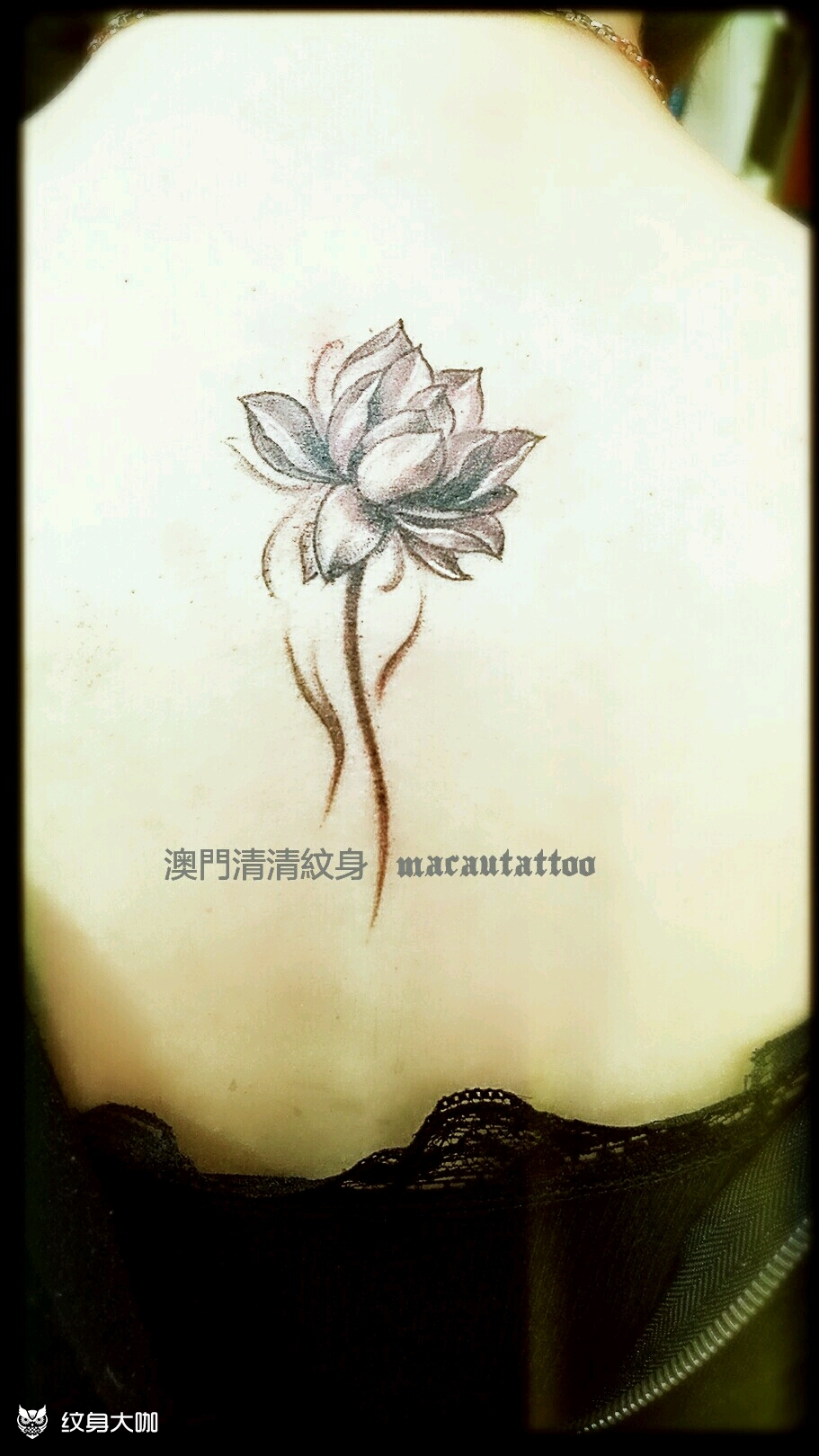 荷花_纹身图案手稿图片_澳门清清纹身的纹身作品集