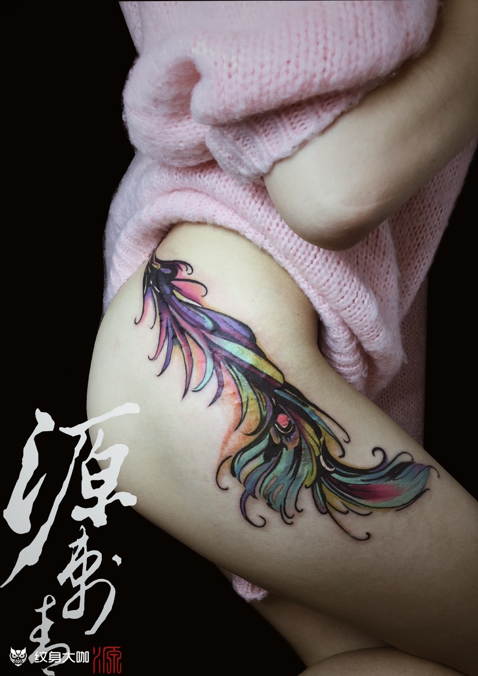 水彩孔雀羽毛遮盖手术疤_纹身图案手稿图片_阮完的纹身作品集