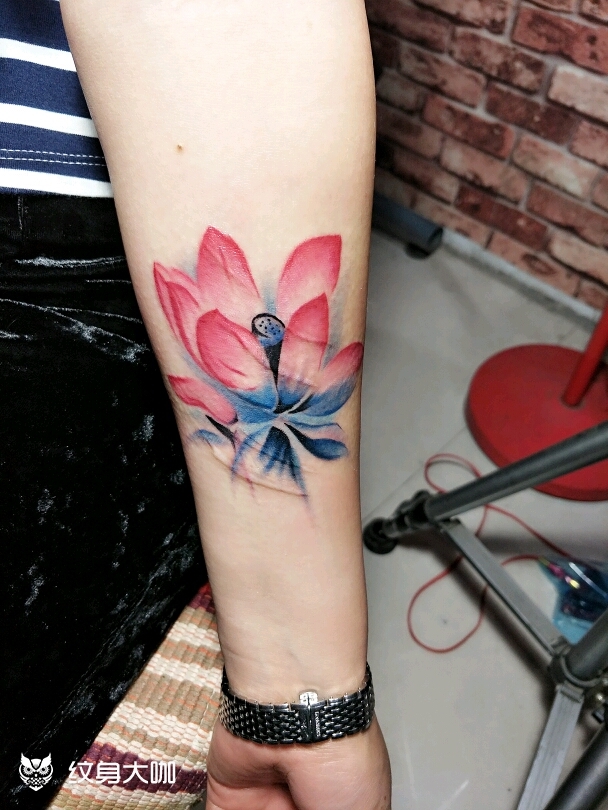 荷花遮疤_纹身图案手稿图片_杨雪松的纹身作品集
