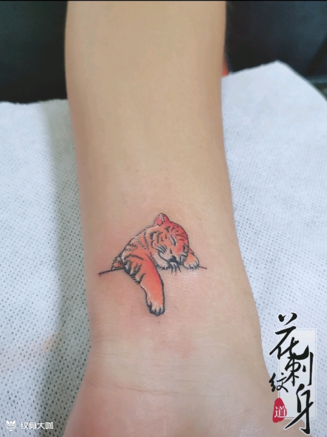 小老虎_纹身图案手稿图片_辉子的纹身作品集