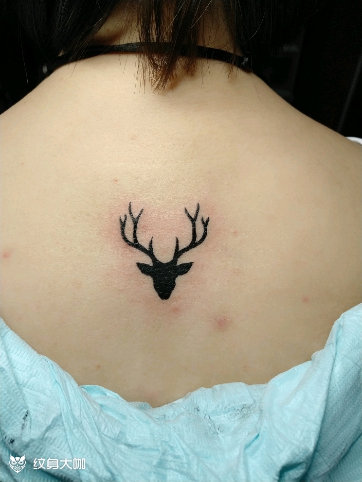 鹿头两个_纹身图案手稿图片_箓·刺的纹身作品集