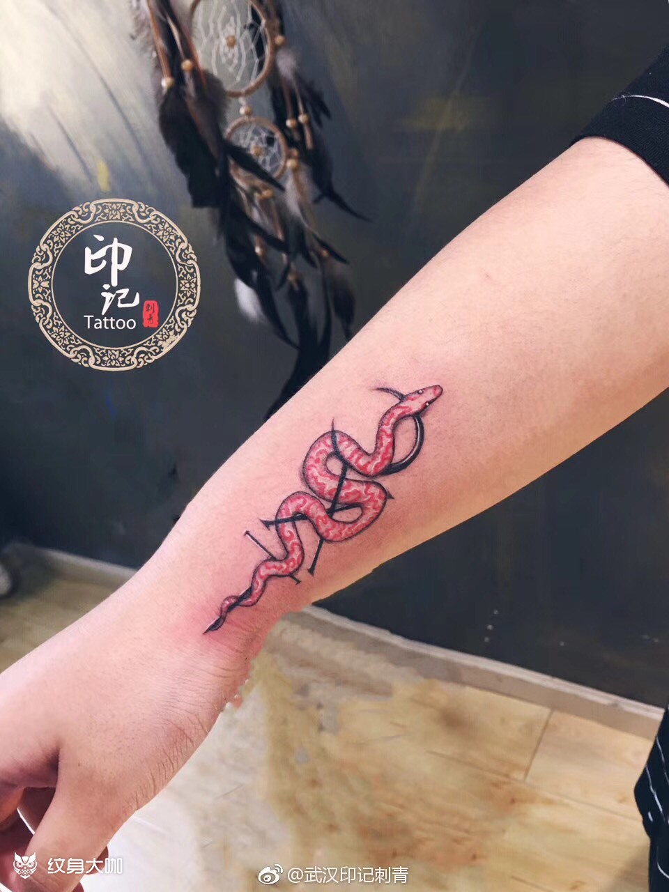手腕蛇_纹身图案手稿图片_贺壹的纹身作品集