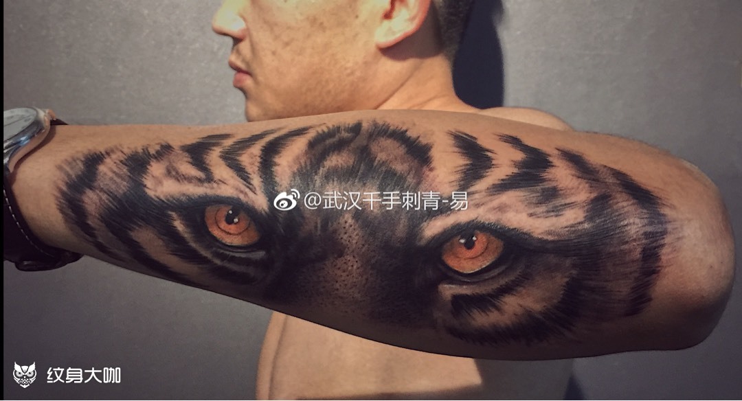 小臂老虎写实_纹身图案手稿图片_易的纹身作品集