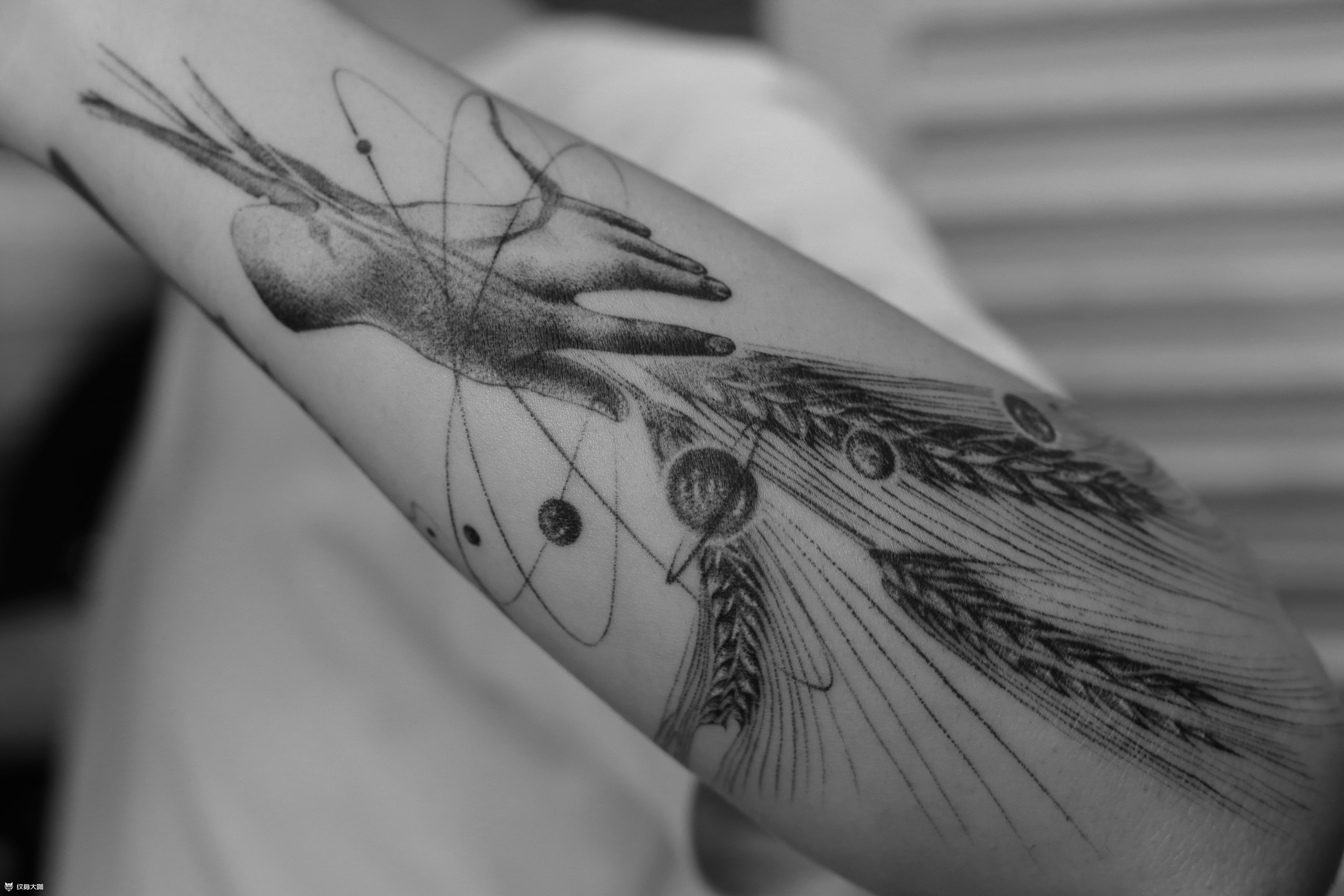 自然刺青处-成为前 作品_纹身图案手稿图片_成为前的纹身作品集