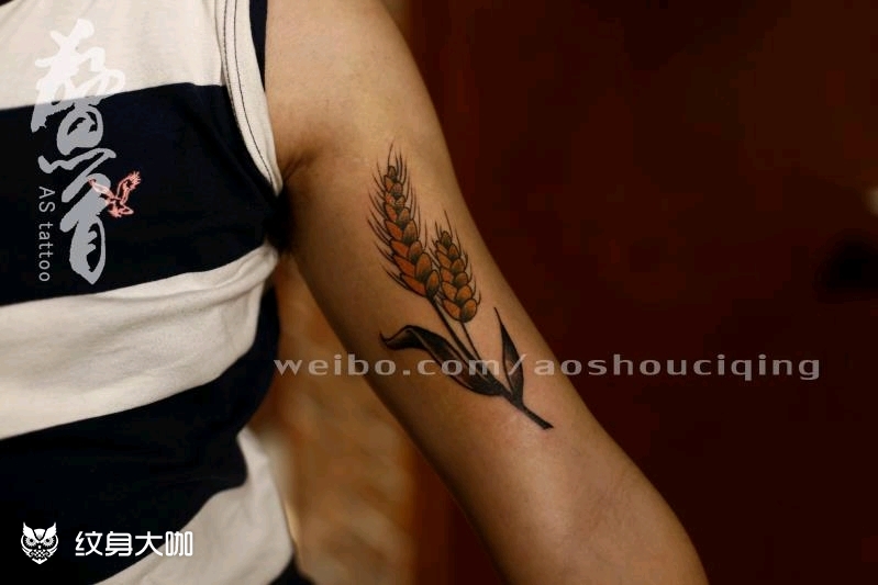 麦穗_纹身图案手稿图片_张璐的纹身作品集