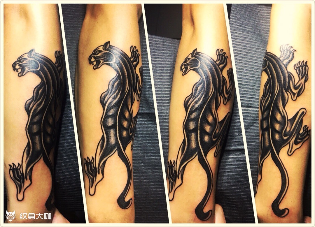 黑豹_纹身图案手稿图片_谭彦博的纹身作品集