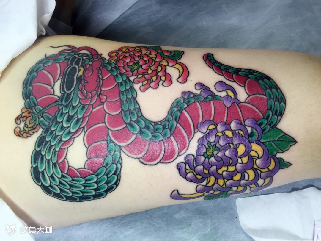菊花蛇_纹身图案手稿图片_和风一号 年后有活动的纹身作品集