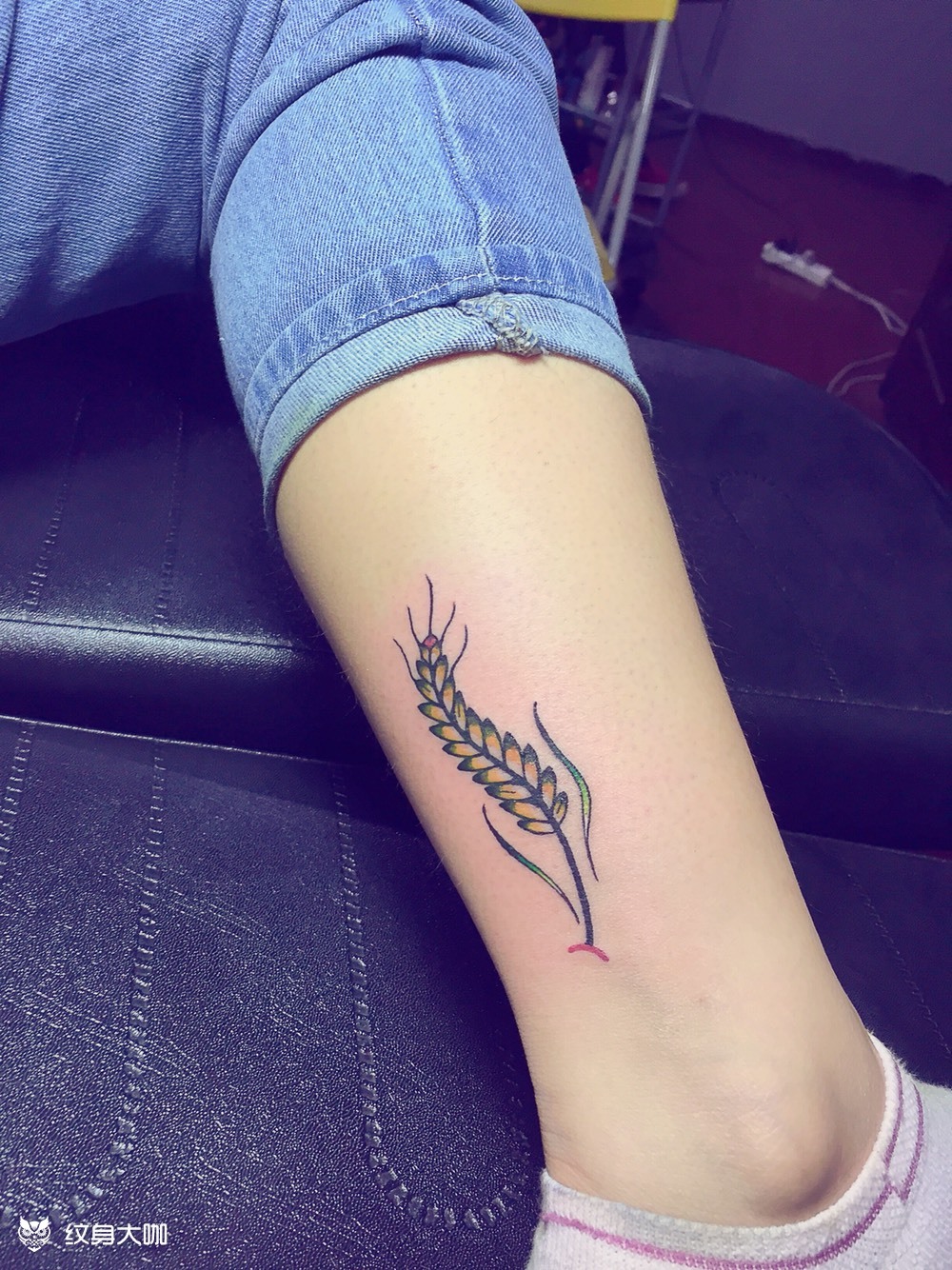 school 麦穗 _纹身图案手稿图片_南伽的纹身作品集