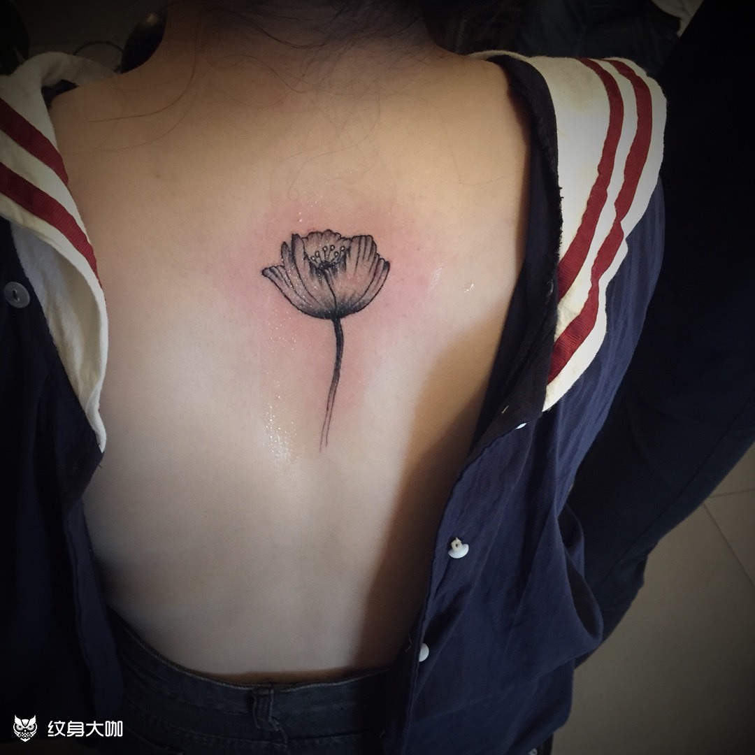 罂粟花_纹身图案手稿图片_彭禹臻的纹身作品集