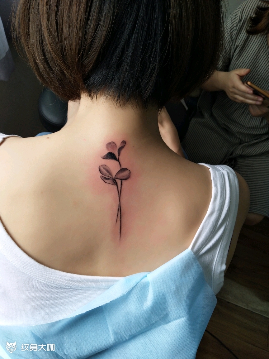小小水草_纹身图案手稿图片_小勇的纹身作品集