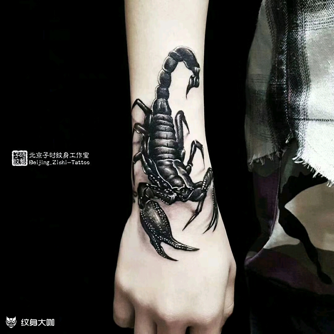 蝎子_纹身图案手稿图片_子时的纹身作品集